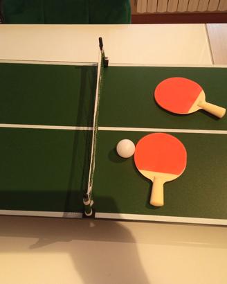tavolo da Ping pong