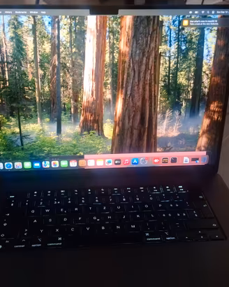 macbook pro m4  16" 48gb ram 512 ssd