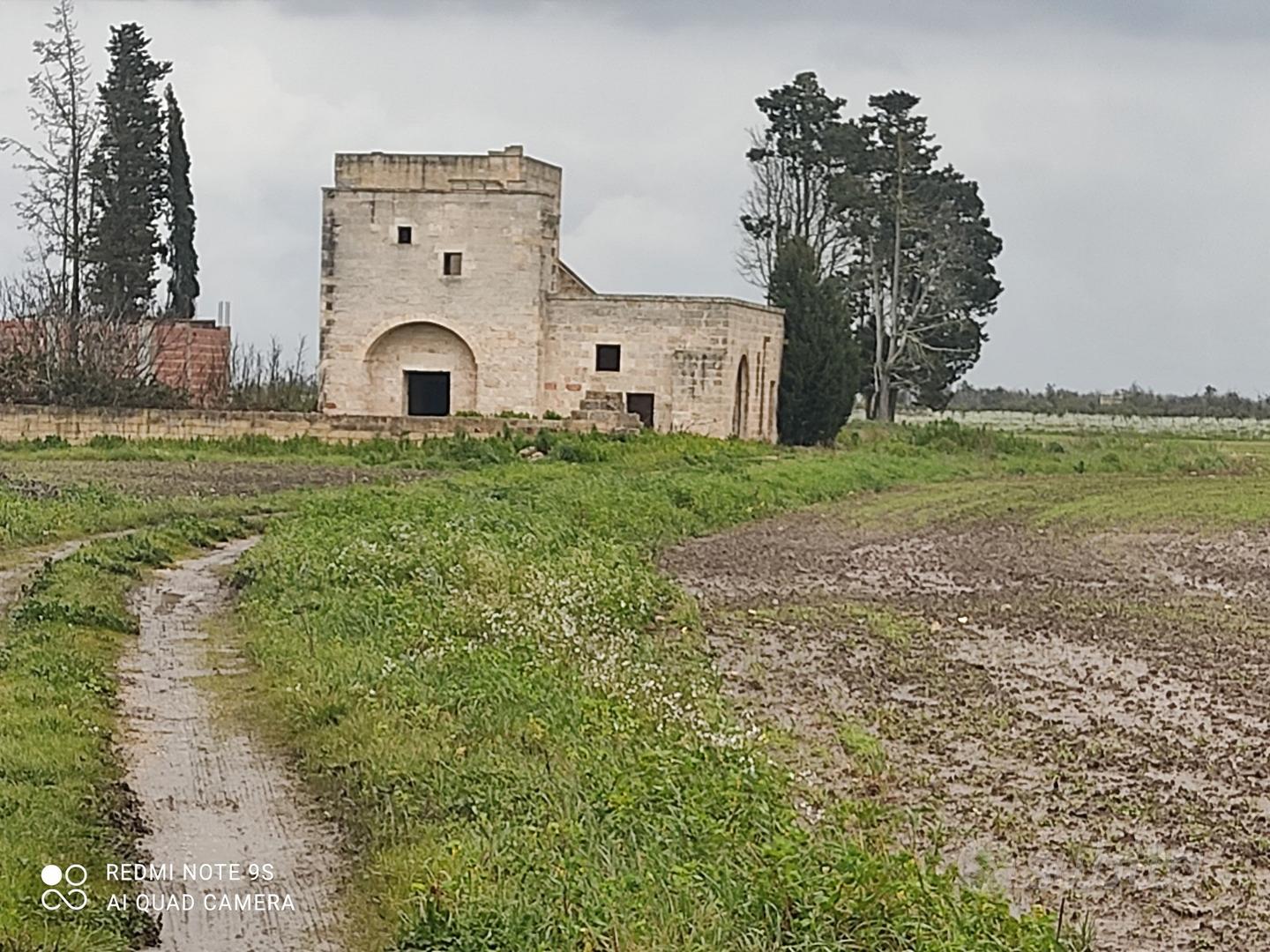 Masseria storica del 1500 con 15 ettari -cutrofian - Altro