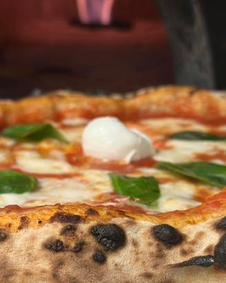 Pizzaiolo esperto