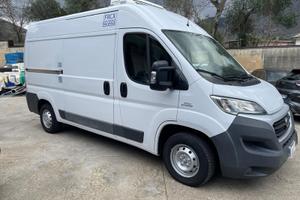 Fiat Ducato Isotermico #2371
