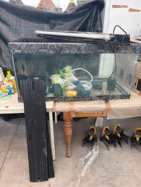 Acquario serra Italia