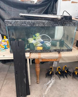 Acquario serra Italia