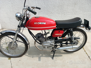 Morini zz