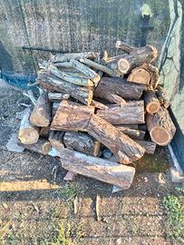 Legna da ardere in Castagno Già Tagliata 