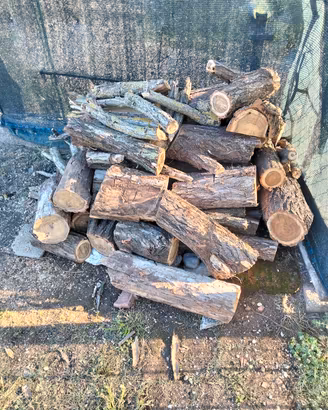 Legna da ardere in Castagno Già Tagliata 