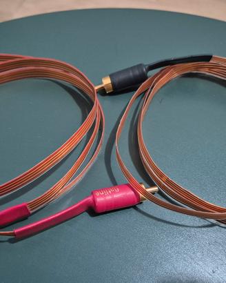 cavi rca Nordost Flatline Magic 1