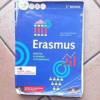 Erasmus. Diritto, economia, cittadinanza