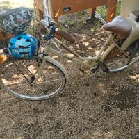 bicicletta olanda 26