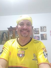 collaboratore domestico 
