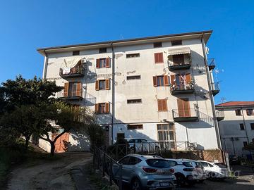 Appartamento con box, sottotetto con wc. Centrale