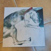 NonVoglio che Clara Dei Cani LP Remastered 15°