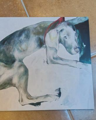 NonVoglio che Clara Dei Cani LP Remastered 15°