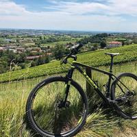 Bici MTB Trek Superfly 9.6 carbonio