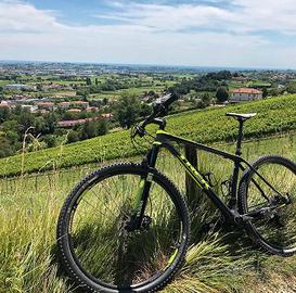 Bici MTB Trek Superfly 9.6 carbonio