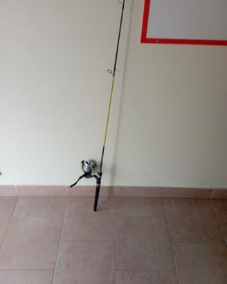 canna da pesca nuova 