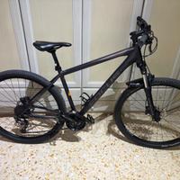 bicicletta muscolare FOCUS