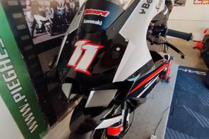Kawasaki zx10r solo pista