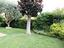 Immagine 19