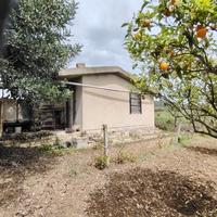 Terreno agricolo con casetta