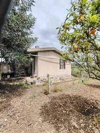 Terreno agricolo con casetta