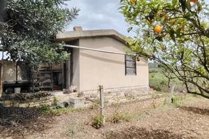 Terreno agricolo con casetta