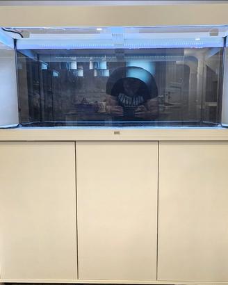 Acquario Juwel Rio 240