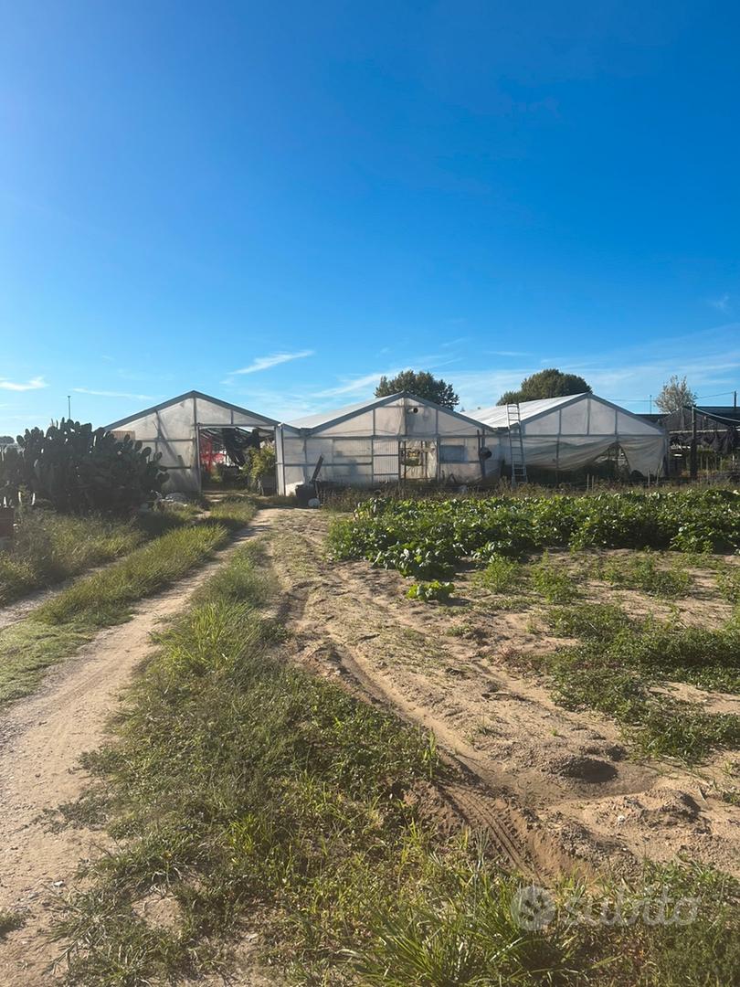 Terreno agricolo - Vista 3