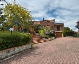 Nei pressi di via Piave-487mq con giardino e box