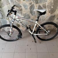 Bicicletta Canondale