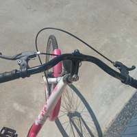 Bicicletta da donna