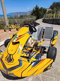 Kart TK taglienti Passion 2023 KZ 125 TM R2 
