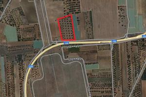 Terreno Agricolo Grottaglie [LM2326VRG]