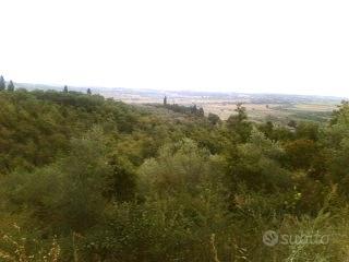 CA1 - Rigomagno capanno agricolo di mq 41 - Vista 4