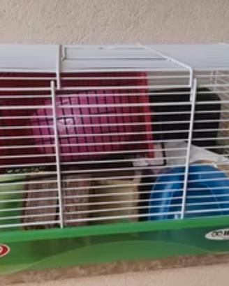 Gabbietta criceto con accessori