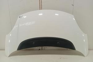 COFANO ANTERIORE FIAT 500 L Serie (351_352) 168978