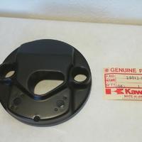 COPPA STRUMENTI KAWASAKI 25012.025