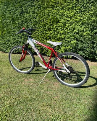 Mountain bike