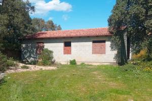 Telti stazzo da ultimare