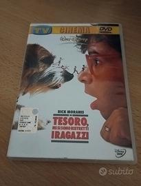 DVD Tesoro mi si sono ristretti i ragazzi Disney