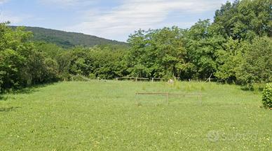 Lotto di terreno edificabile a Savogna d'Isonzo