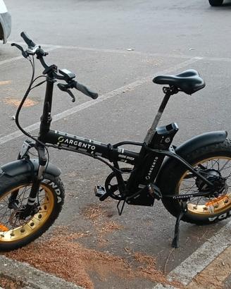 Bicicletta elettrica