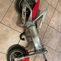 Pezzi minimoto racing polini