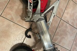Pezzi minimoto racing polini