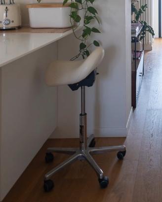 bambach saddle seat sedia colonna vertebrale