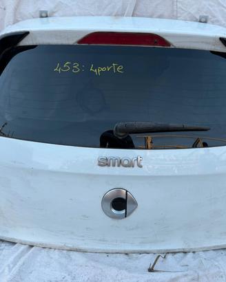 PORTELLONE BAULE POSTERIORE 453 4 PORTE 2017