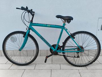 Bici Mountain bike