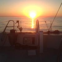 Marinaio-Cuoco-Aux Navig Vela-Mot-Manutenz