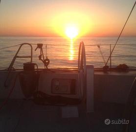 Marinaio-Cuoco-Aux Navig Vela-Mot-Manutenz