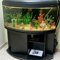 Acquario 400L 120x65x60 cm